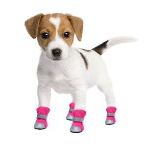 Raincoat and Snow Boots for Dog: Your Dog's Paws Warm and Dry